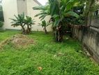 Land for Sale in Bellanwila