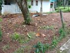 Land for Sale in Belummahara 16.5 P