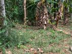 Land for Sale in Belummahara, Gampaha