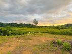Land For Sale In Bentota