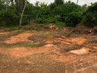 Land for Sale in Bentota