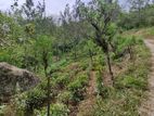 Land for Sale in Beragala