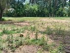 Land for sale in Beruketiya