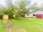 Land For Sale in Beruwala - CL748