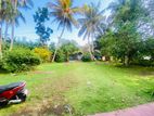 Land For Sale in Beruwala - CL748