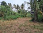 Land for Sale in Bibiladeniya 47 P
