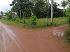 Land for Sale in Bibiladeniya