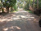 Land for Sale in Biyagama bandarawatta