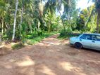 Land For sale In Biyagama , Dompe