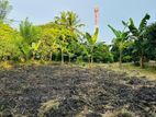 Land for Sale in Biyagama