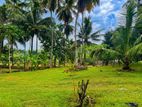 Land for Sale in Biyagama