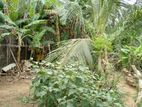 Land For sale in Biyagama Road, Kelaniya