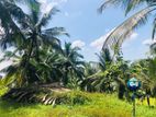 Land for Sale in බණ්ඩාරගම