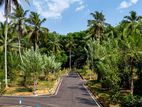 Land for Sale in බණ්ඩාරගමින්