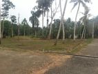 Land for Sale in Bogahagoda