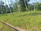 Land for Sale in Bogahagoda