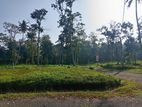 Land for Sale in Bogahagoda