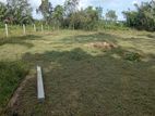Land For Sale In Bolgoda