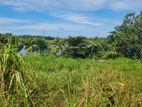 Land for Sale in Bolgoda Herana