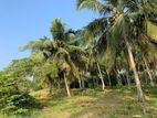 Land for Sale in Bopitiya