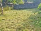 Land for Sale in Boralasgamuwa