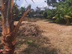 Land For Sale In Boralesgamuwa 10 kanuwa