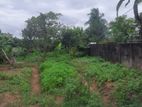 Land For Sale In Boralesgamuwa Aberathna Mawatha