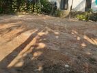 Land for sale in Boralesgamuwa (බොරලැස්ගමුව)