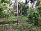 Land for sale in Boralesgamuwa - CL323