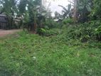 Land For Sale In Boralesgamuwa දිවුලපිටිය