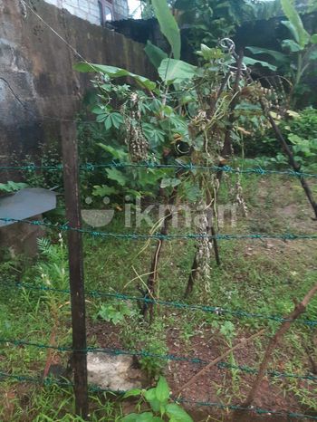Land For Sale In Boralesgamuwa