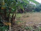Land for sale In Boralesgamuwa