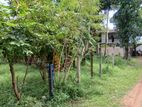 Land for Sale in Boralesgamuwa