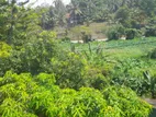 Land For sale in Boralesgamuwa