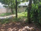 Land For Sale In Boralesgamuwa