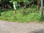 Land for Sale in Boralesgamuwa