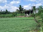 Land for Sale in Boralesgamuwa