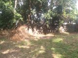 Land For Sale In Boralesgamuwa