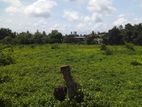 Land for Sale in Boralesgamuwa
