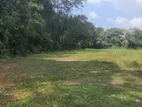 Land For Sale In Boralesgamuwa Katuwawla