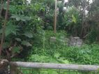 Land For Sale In Boralesgamuwa Lake Road