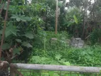 Land For Sale In Boralesgamuwa Lake Road