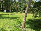 Land for Sale in Boralesgamuwa-Ls-412