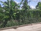 Land For Sale In Boralesgamuwa Raththanapitiya
