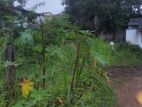 Land For Sale In Boralesgamuwa Raththanapitiya