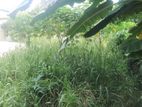 Land For Sale In Boralesgamuwa werahera