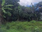 Land For Sale In Boralesgamuwa werahera