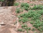 Land For Sale in Boralesgmuwa