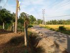 Land for Sale in Boralugoda,