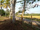 Land for Sale in Boralugoda.